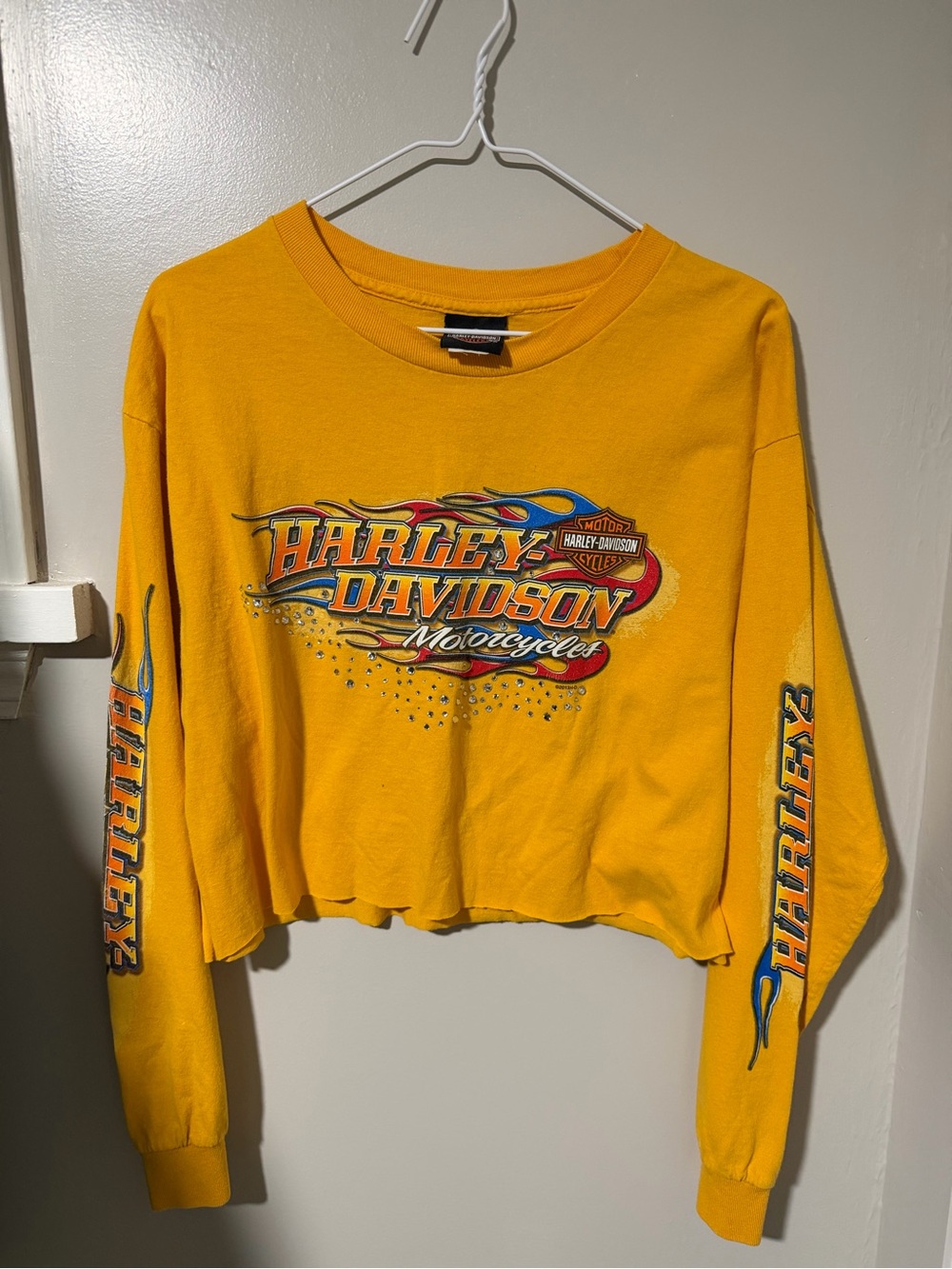 Harley-Davidson Yellow Graphic Long-Sleeve Tee with Flame Logo
